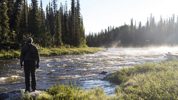 Gulkana Wild and Scenic River, Alaska A person stands on the bank of the Gulkana Wild & Scenic River in Alaska. It's a clear sunny day and mist lifts off the surface of the water. The banks are lined with grasses and evergreen trees.